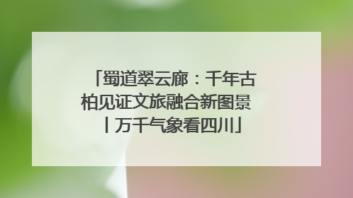 蜀道翠云廊：千年古柏见证文旅融合新图景丨万千气象看四川
