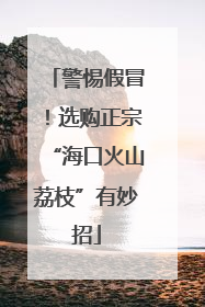 警惕假冒！选购正宗“海口火山荔枝”有妙招