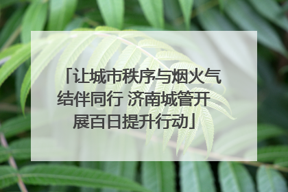 让城市秩序与烟火气结伴同行 济南城管开展百日提升行动