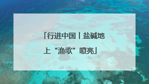 行进中国丨盐碱地上“渔歌”嘹亮