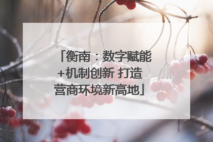 衡南：数字赋能+机制创新 打造营商环境新高地