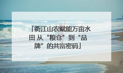 衢江山农赋能万亩水田 从“粮仓”到“品牌”的共富密码