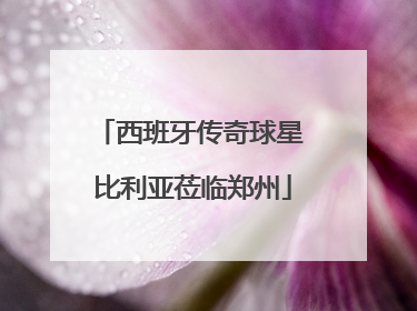 西班牙传奇球星 比利亚莅临郑州