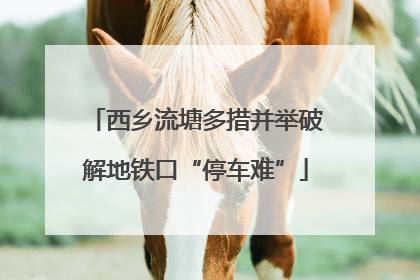 西乡流塘多措并举破解地铁口“停车难”
