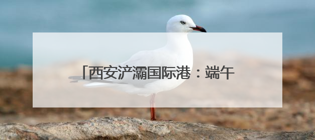 西安浐灞国际港：端午传文明 邻里情更浓