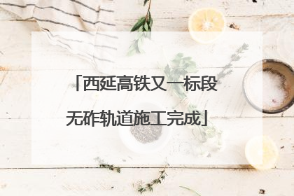 西延高铁又一标段无砟轨道施工完成