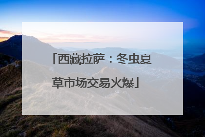 西藏拉萨：冬虫夏草市场交易火爆
