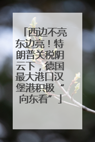 西边不亮东边亮！特朗普关税阴云下，德国最大港口汉堡港积极“向东看”