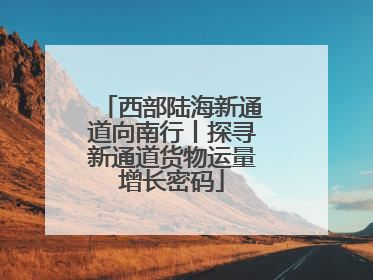 西部陆海新通道向南行丨探寻新通道货物运量增长密码