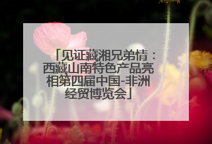见证藏湘兄弟情：西藏山南特色产品亮相第四届中国-非洲经贸博览会