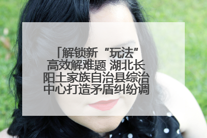 解锁新“玩法” 高效解难题 湖北长阳土家族自治县综治中心打造矛盾纠纷调处“终点站”