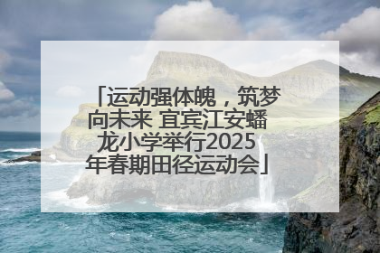 运动强体魄，筑梦向未来 宜宾江安蟠龙小学举行2025年春期田径运动会