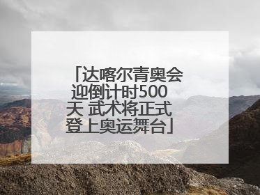 达喀尔青奥会迎倒计时500天 武术将正式登上奥运舞台