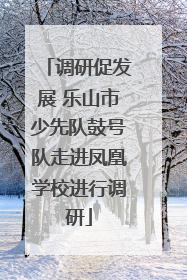 调研促发展 乐山市少先队鼓号队走进凤凰学校进行调研