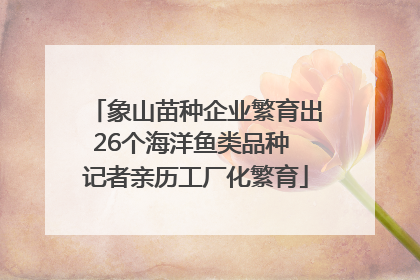象山苗种企业繁育出26个海洋鱼类品种 记者亲历工厂化繁育