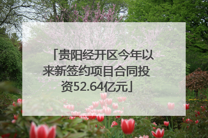 贵阳经开区今年以来新签约项目合同投资52.64亿元