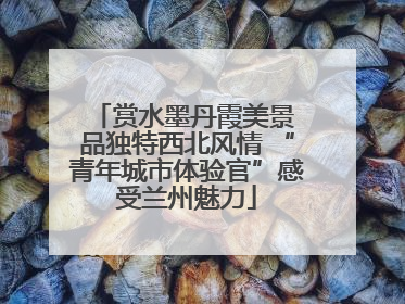 赏水墨丹霞美景 品独特西北风情 “青年城市体验官”感受兰州魅力