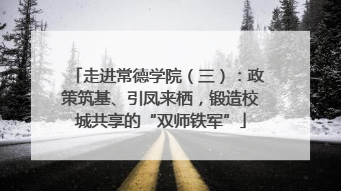 走进常德学院（三）：政策筑基、引凤来栖，锻造校城共享的“双师铁军”