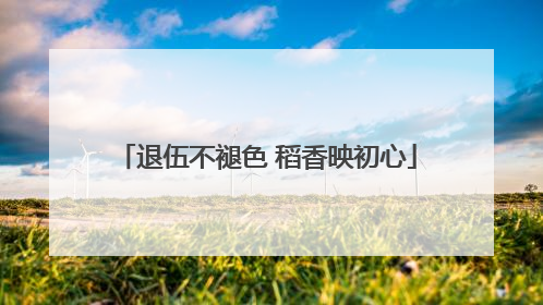退伍不褪色 稻香映初心