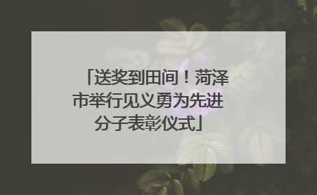 送奖到田间！菏泽市举行见义勇为先进分子表彰仪式