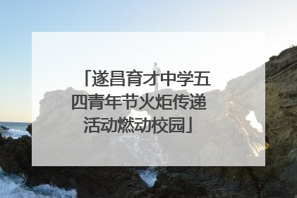 遂昌育才中学五四青年节火炬传递活动燃动校园