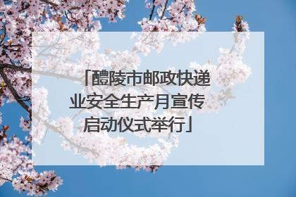 醴陵市邮政快递业安全生产月宣传启动仪式举行