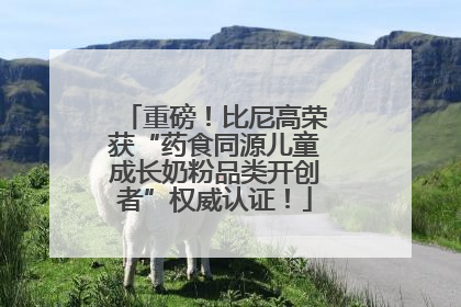 重磅！比尼高荣获“药食同源儿童成长奶粉品类开创者”权威认证！