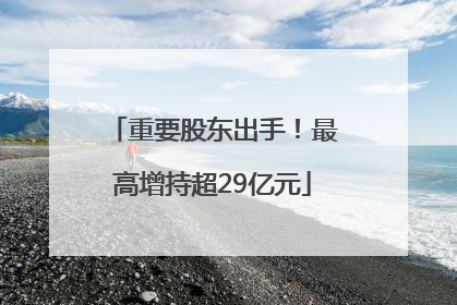 重要股东出手！最高增持超29亿元