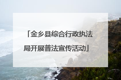 金乡县综合行政执法局开展普法宣传活动