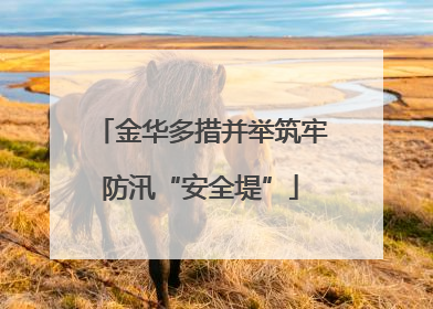 金华多措并举筑牢防汛“安全堤”