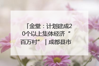 金堂：计划建成20个以上集体经济“百万村”｜成都县市新城高质量发展