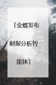 金蝶发布财报分析智能体