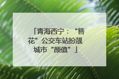 青海西宁：“簪花”公交车站扮靓城市“颜值”