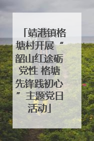 靖港镇格塘村开展“韶山红途砺党性 格塘先锋践初心”主题党日活动