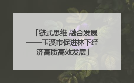 链式思维 融合发展——玉溪市促进林下经济高质高效发展