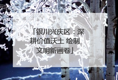 银川兴庆区：深耕价值沃土 绘制文明新画卷