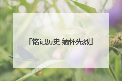 铭记历史 缅怀先烈