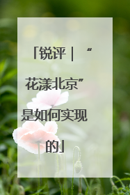 锐评｜“花漾北京”是如何实现的