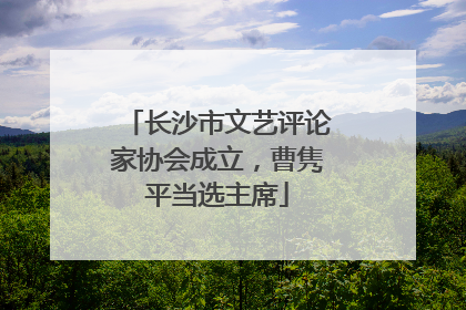长沙市文艺评论家协会成立，曹隽平当选主席