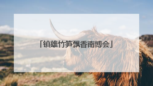 镇雄竹笋飘香南博会