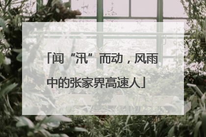 闻“汛”而动，风雨中的张家界高速人