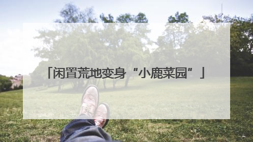 闲置荒地变身“小鹿菜园”