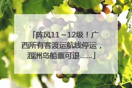阵风11～12级！广西所有客渡运航线停运，涠洲岛船票可退……