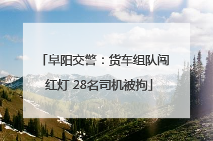 阜阳交警：货车组队闯红灯 28名司机被拘