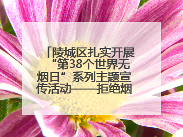 陵城区扎实开展“第38个世界无烟日”系列主题宣传活动——拒绝烟草诱惑 对第一支烟说不