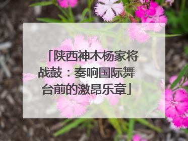 陕西神木杨家将战鼓：奏响国际舞台前的激昂乐章