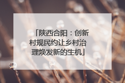 陕西合阳：创新村规民约让乡村治理焕发新的生机