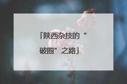 陕西杂技的“破圈”之路
