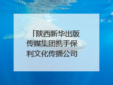 陕西新华出版传媒集团携手保利文化传播公司打造“时间典藏”数字艺术馆