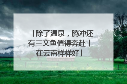 除了温泉，腾冲还有三文鱼值得奔赴丨在云南样样好